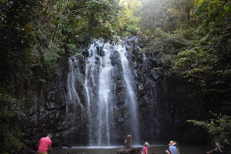 Port Douglas Tropical Trips